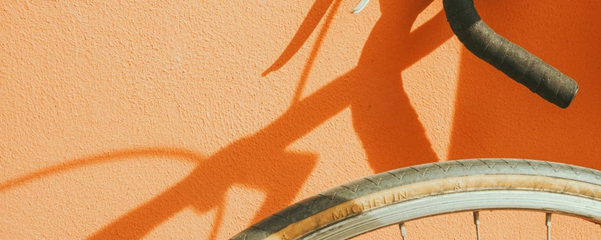 Banner image Banner image